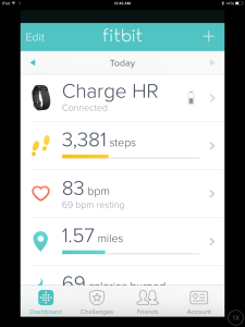 Fitbit App Install on iPad Air 2 setup-10