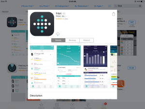 fitbit app on ipad