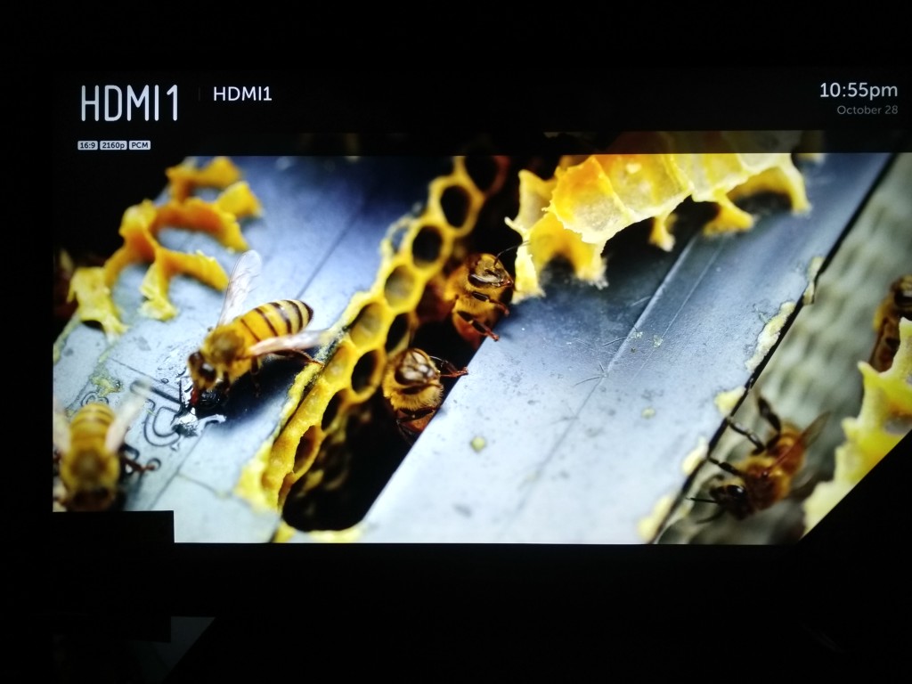 LG 43UF6400 43-Inch 4K Ultra HD Smart LED TV works with Sony 4K Media Player-15