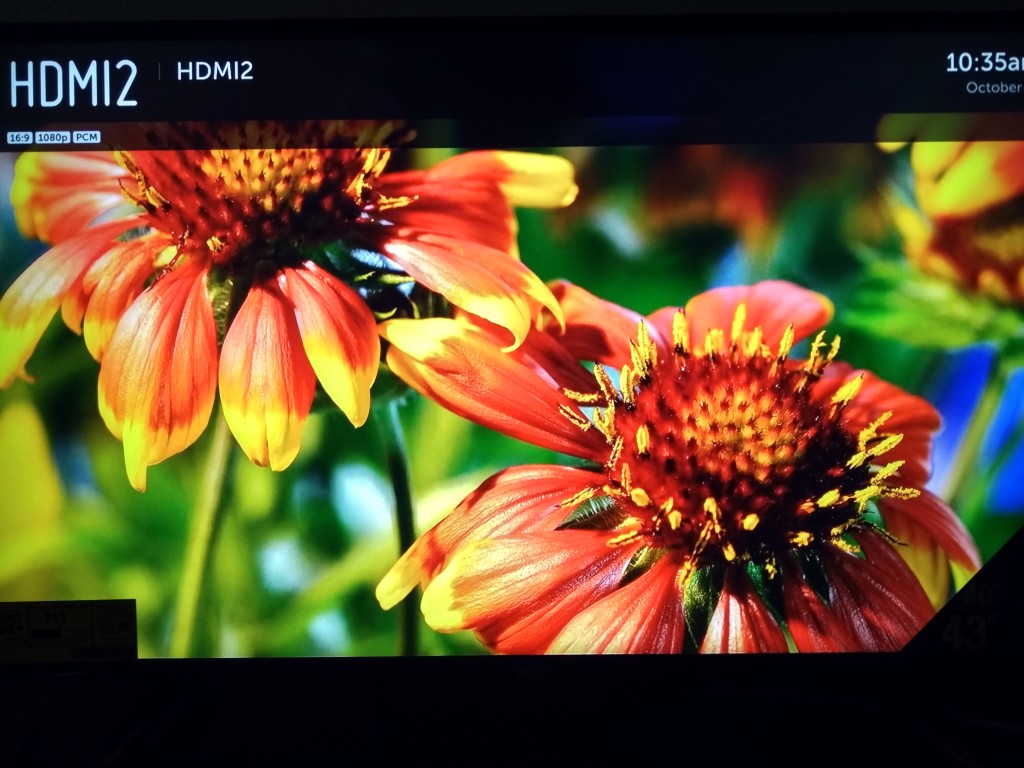 NetFlix on Amazon Fire TV on LG 4K Smart TV-3
