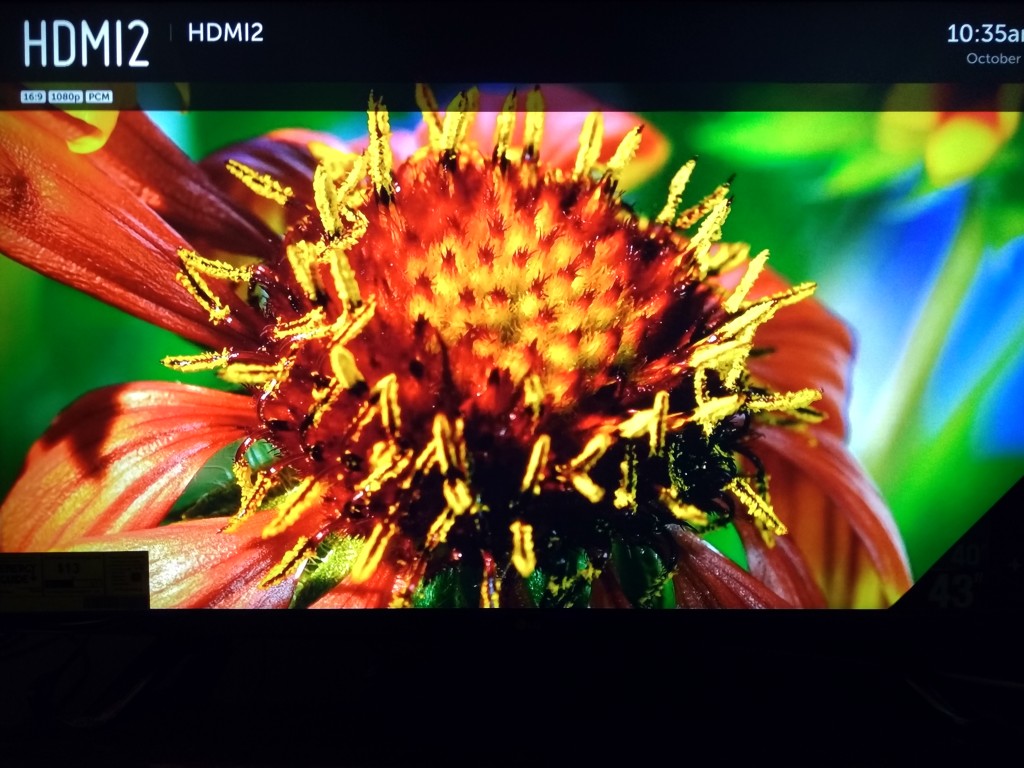 NetFlix on Amazon Fire TV on LG 4K Smart TV-5